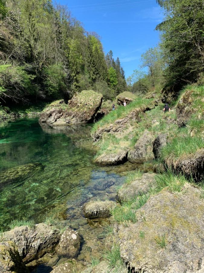 Ferienhaeuschen Am Traunsee Mit Tretboot Zur Freien Nutzung Am Badeplatz Altmünster Exterior foto