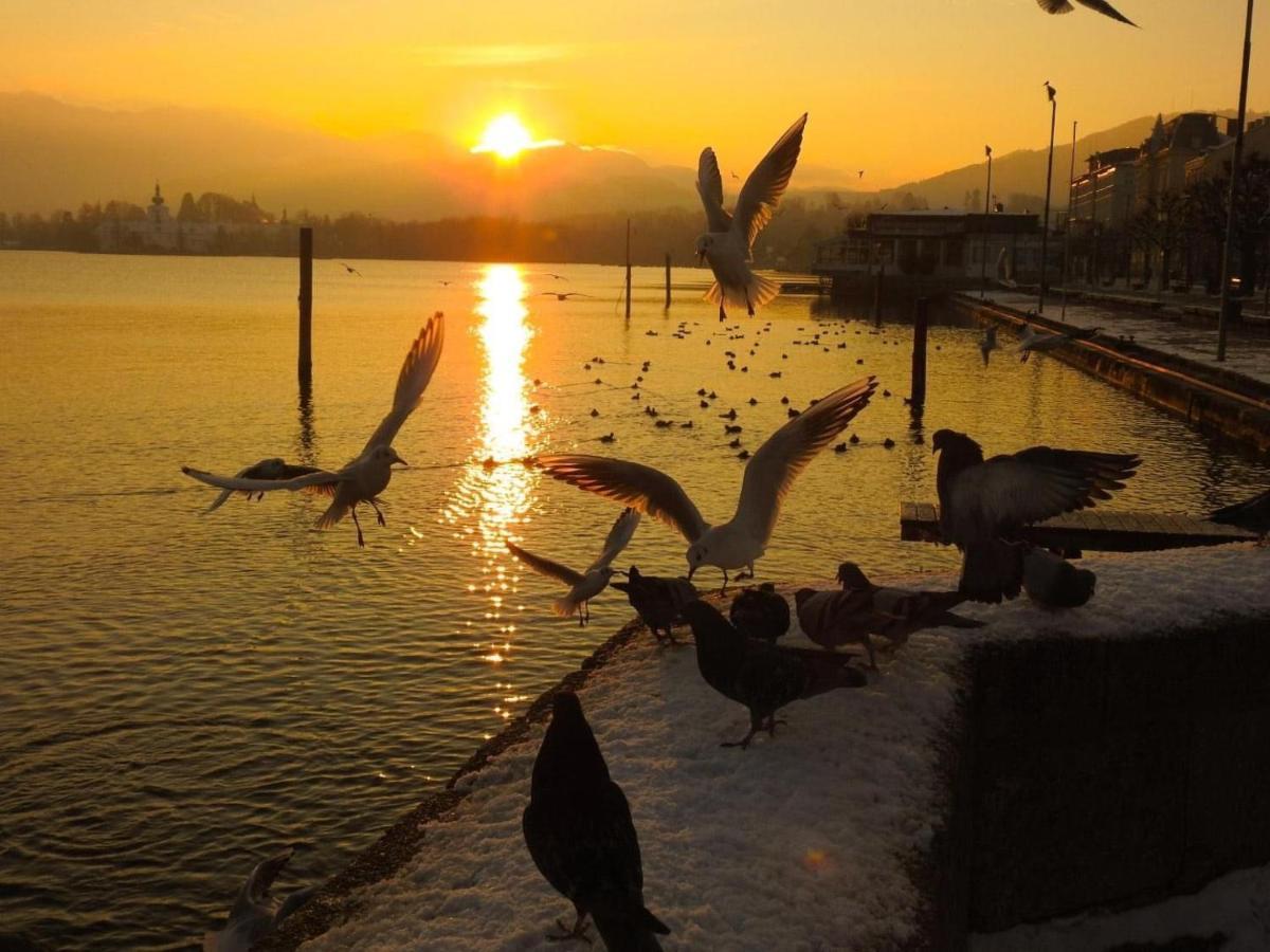 Ferienhaeuschen Am Traunsee Mit Tretboot Zur Freien Nutzung Am Badeplatz Altmünster Exterior foto